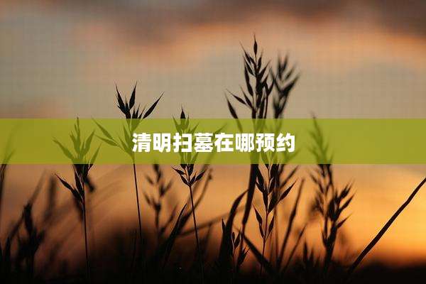 清明扫墓在哪预约