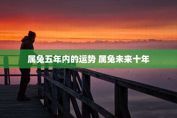 属兔五年内的运势 属兔未来十年
