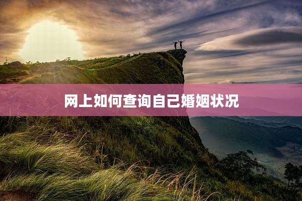 网上如何查询自己婚姻状况