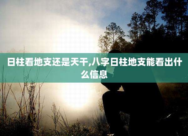 日柱看地支还是天干,八字日柱地支能看出什么信息