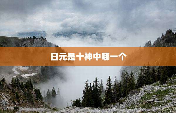 日元是十神中哪一个