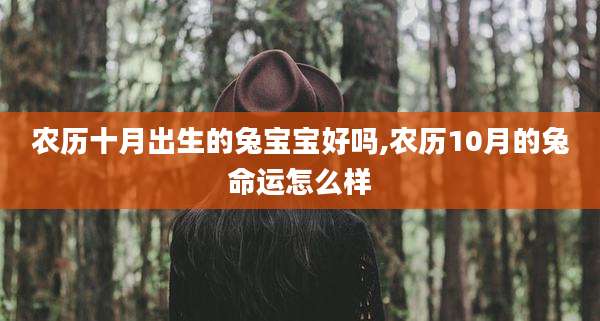 农历十月出生的兔宝宝好吗,农历10月的兔命运怎么样