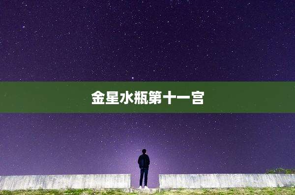 金星水瓶第十一宫
