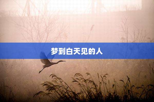 梦到白天见的人