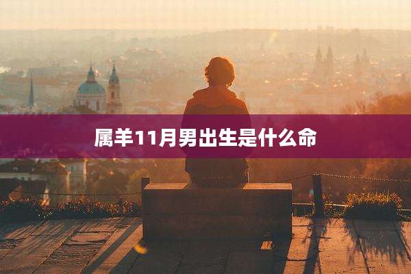 属羊11月男出生是什么命
