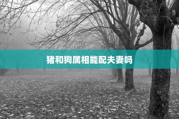 猪和狗属相能配夫妻吗