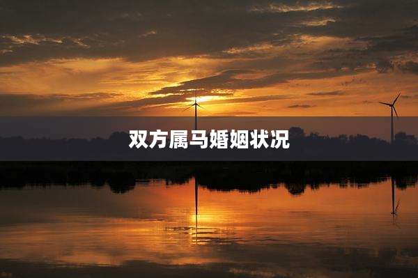双方属马婚姻状况