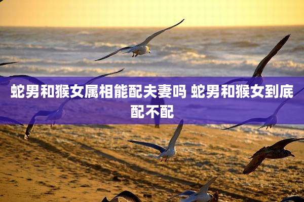蛇男和猴女属相能配夫妻吗 蛇男和猴女到底配不配