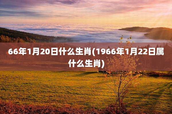 66年1月20日什么生肖(1966年1月22日属什么生肖)