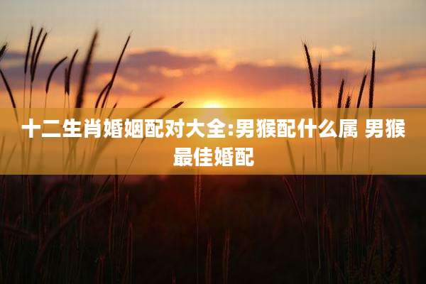 十二生肖婚姻配对大全:男猴配什么属 男猴最佳婚配