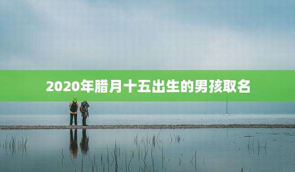 2020年腊月十五出生的男孩取名