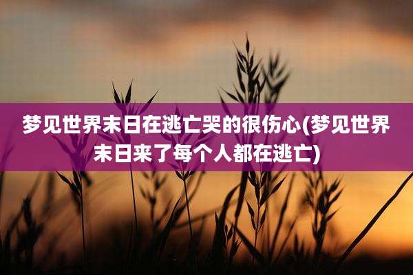 梦见世界末日在逃亡哭的很伤心(梦见世界末日来了每个人都在逃亡)
