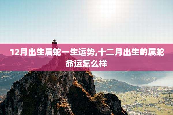 12月出生属蛇一生运势,十二月出生的属蛇命运怎么样