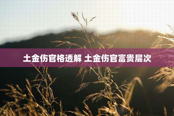 土金伤官格透解 土金伤官富贵层次