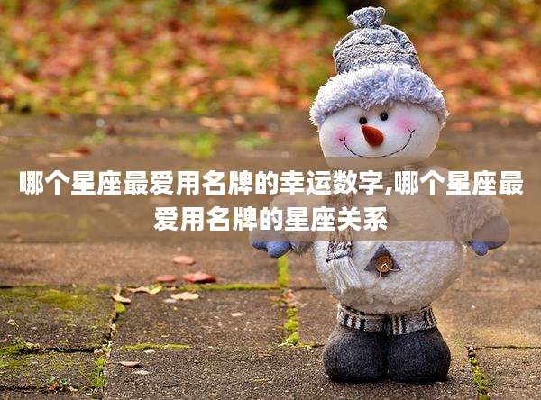 哪个星座最爱用名牌的幸运数字,哪个星座最爱用名牌的星座关系