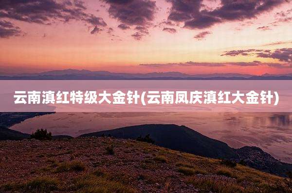 云南滇红特级大金针(云南凤庆滇红大金针)