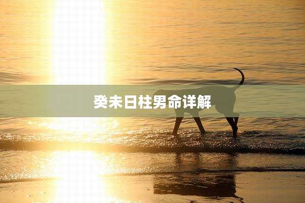 癸未日柱男命详解