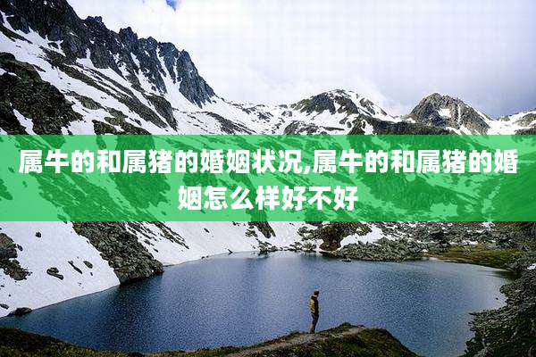 属牛的和属猪的婚姻状况,属牛的和属猪的婚姻怎么样好不好