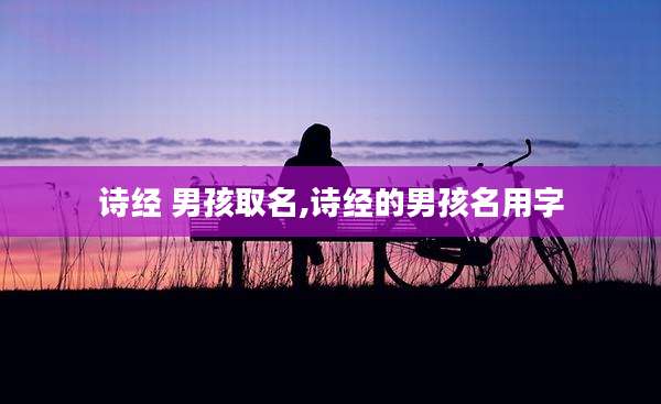 诗经 男孩取名,诗经的男孩名用字