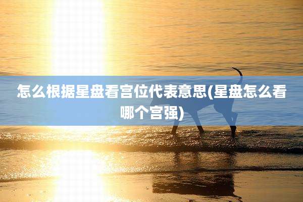 怎么根据星盘看宫位代表意思(星盘怎么看哪个宫强)