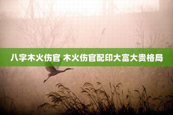 八字木火伤官 木火伤官配印大富大贵格局