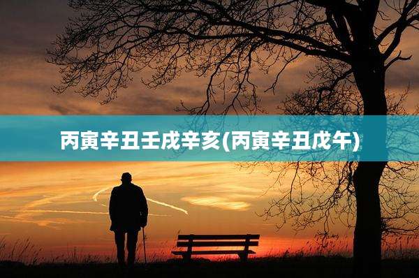 丙寅辛丑壬戌辛亥(丙寅辛丑戊午)