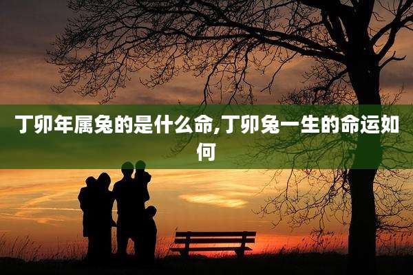 丁卯年属兔的是什么命,丁卯兔一生的命运如何