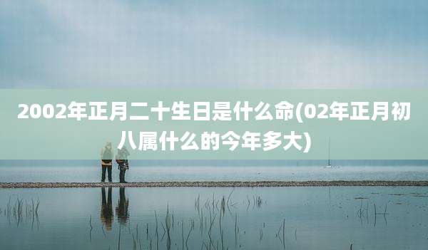 2002年正月二十生日是什么命(02年正月初八属什么的今年多大)
