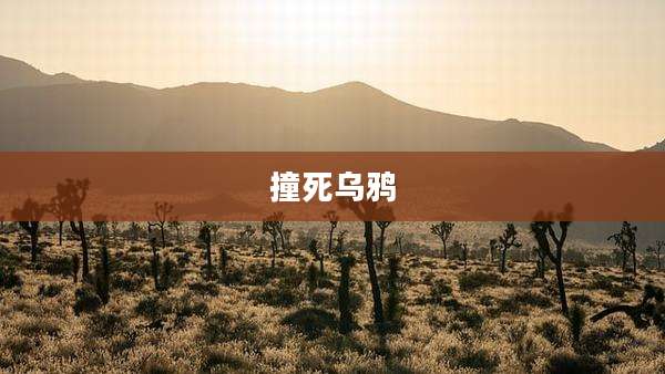 撞死乌鸦