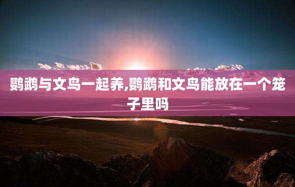 鹦鹉与文鸟一起养,鹦鹉和文鸟能放在一个笼子里吗