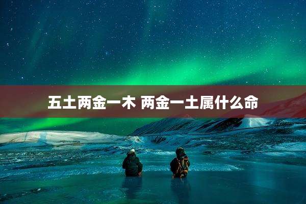 五土两金一木 两金一土属什么命