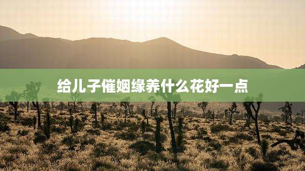 给儿子催姻缘养什么花好一点