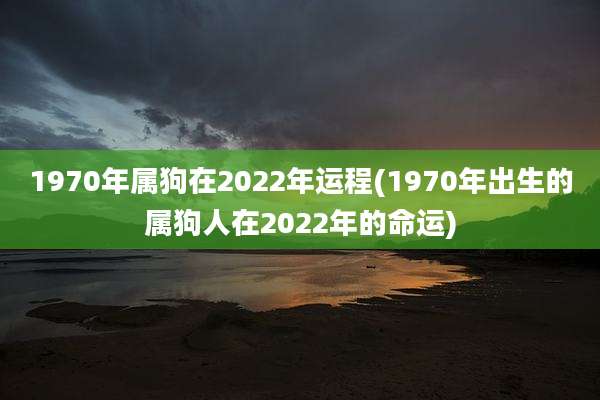 1970年属狗在2022年运程(1970年出生的属狗人在2022年的命运)