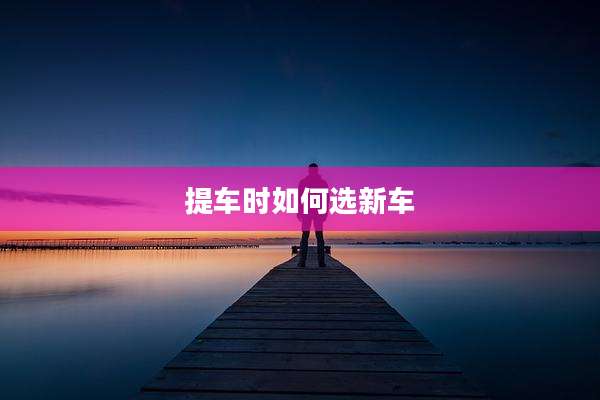 提车时如何选新车