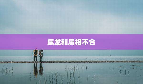 属龙和属相不合