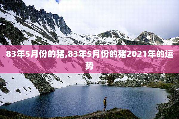 83年5月份的猪,83年5月份的猪2021年的运势