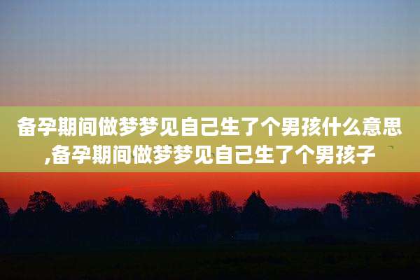 备孕期间做梦梦见自己生了个男孩什么意思,备孕期间做梦梦见自己生了个男孩子