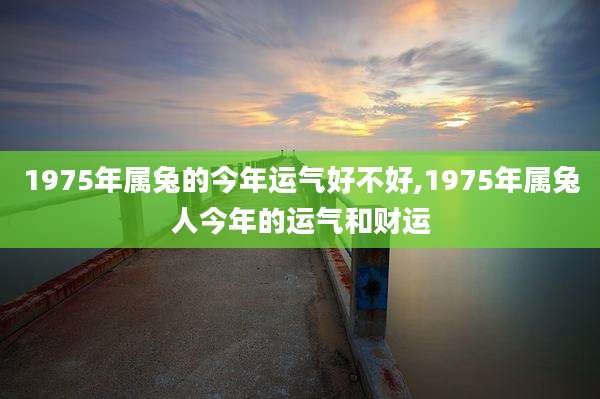 1975年属兔的今年运气好不好,1975年属兔人今年的运气和财运