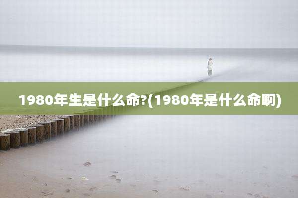1980年生是什么命?(1980年是什么命啊)