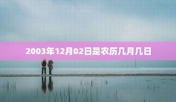2003年12月02日是农历几月几日