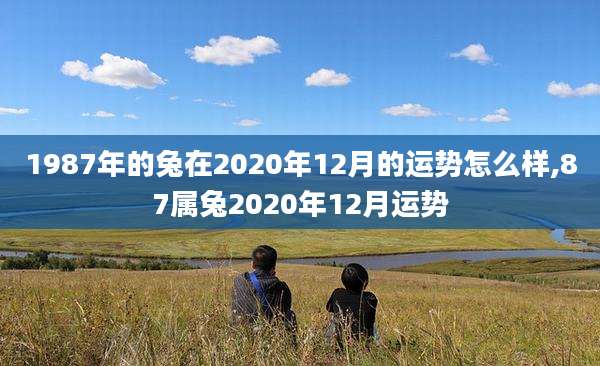 1987年的兔在2020年12月的运势怎么样,87属兔2020年12月运势