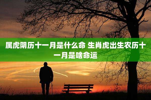 属虎阴历十一月是什么命 生肖虎出生农历十一月是啥命运