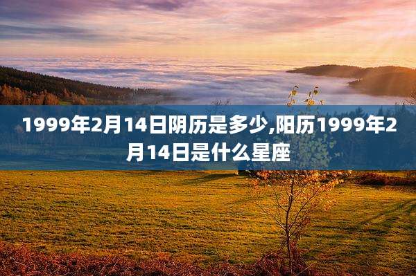 1999年2月14日阴历是多少,阳历1999年2月14日是什么星座