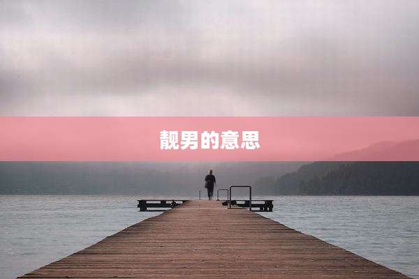 靓男的意思