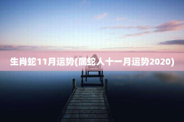 生肖蛇11月运势(属蛇人十一月运势2020)