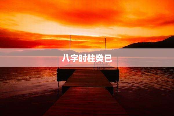 八字时柱癸巳