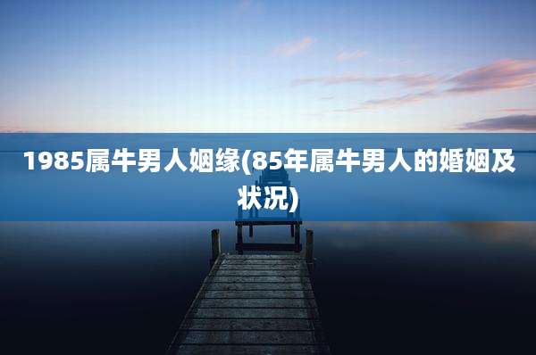 1985属牛男人姻缘(85年属牛男人的婚姻及状况)