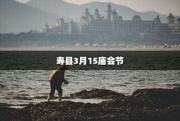 寿县3月15庙会节