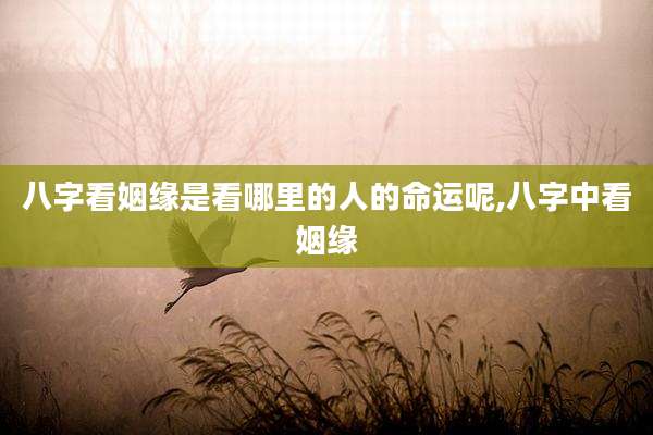 八字看姻缘是看哪里的人的命运呢,八字中看姻缘