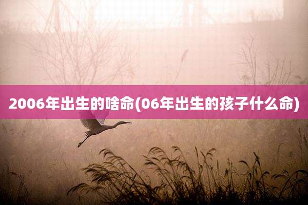 2006年出生的啥命(06年出生的孩子什么命)
